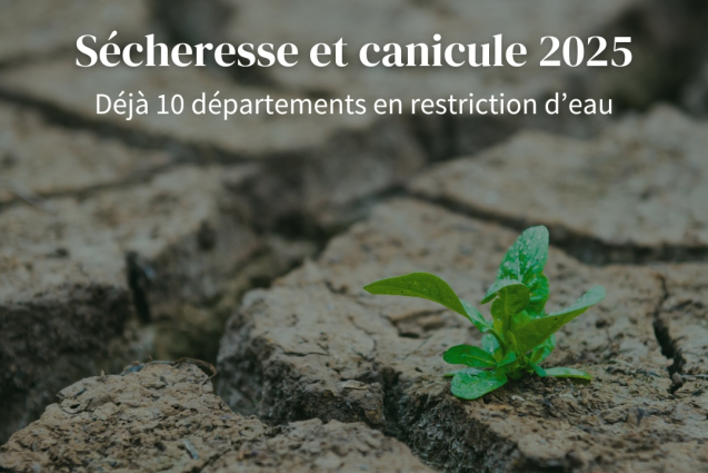 Sécheresse et canicule 2025