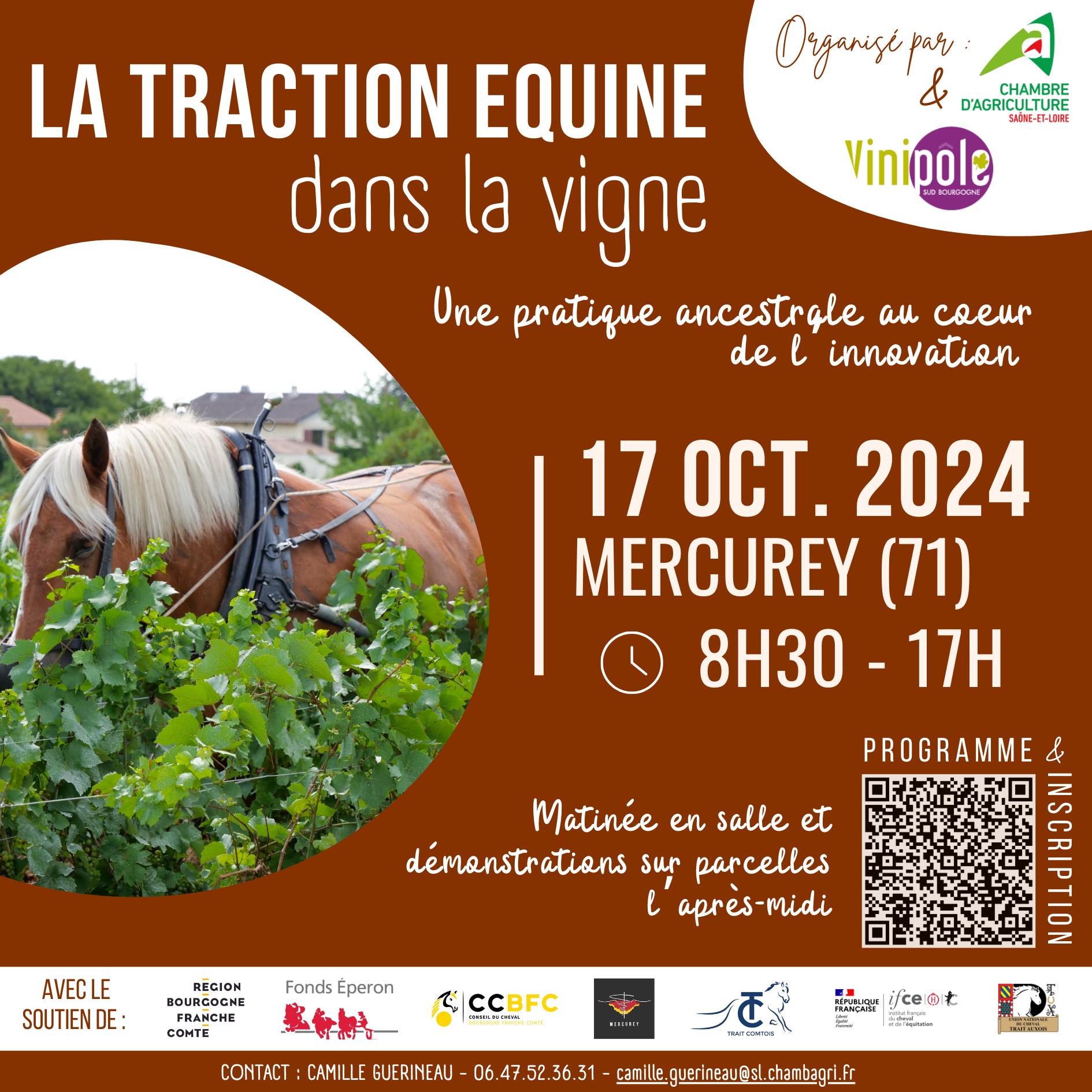 Journée technique à Mercurey : La Traction Equine dans la Vigne