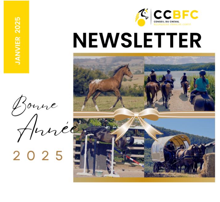 La Newsletter de janvier est sortie !